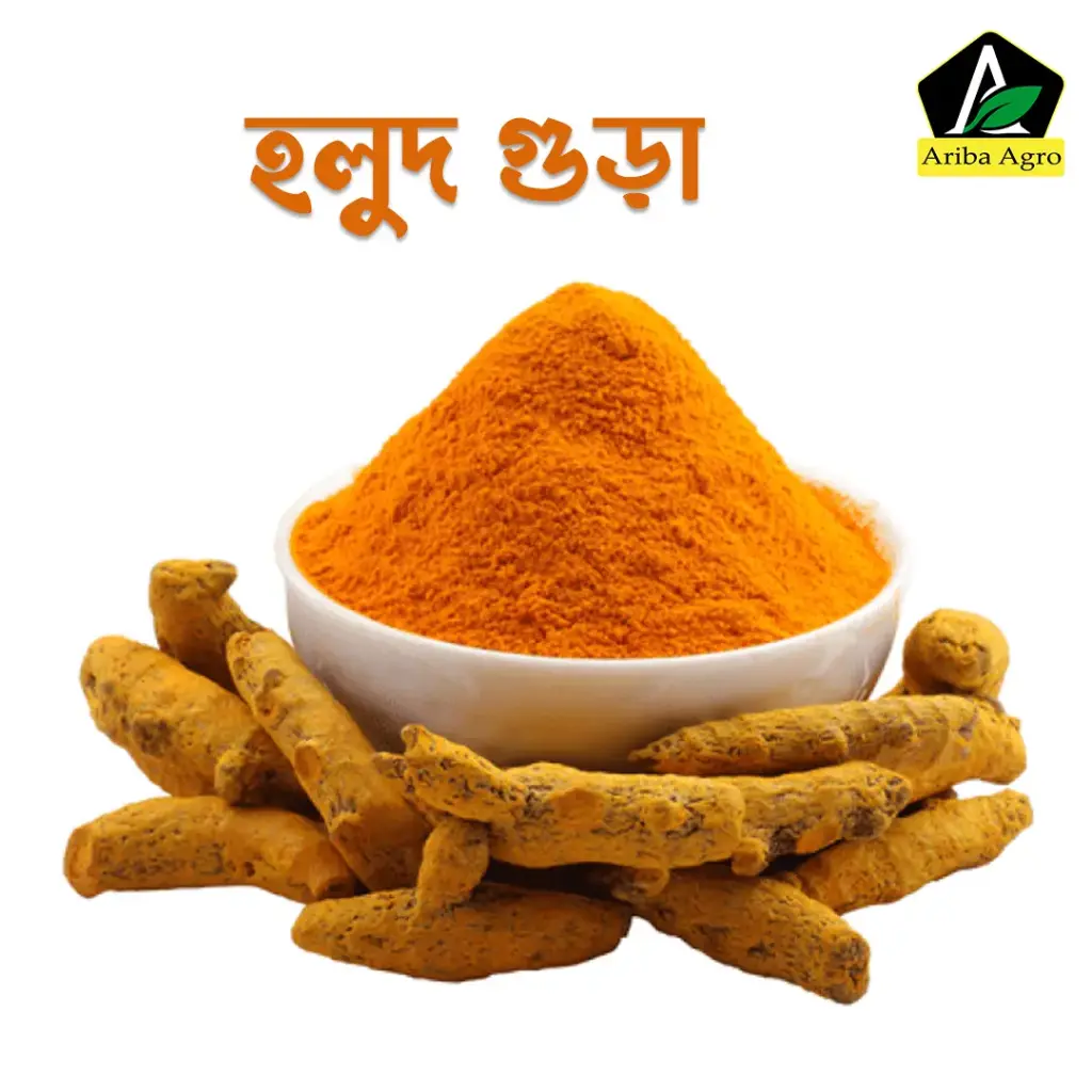 Turmeric Powder (হলুদ গুঁড়া)