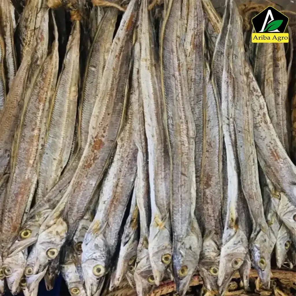 Churi Fish/Ribbon Fish