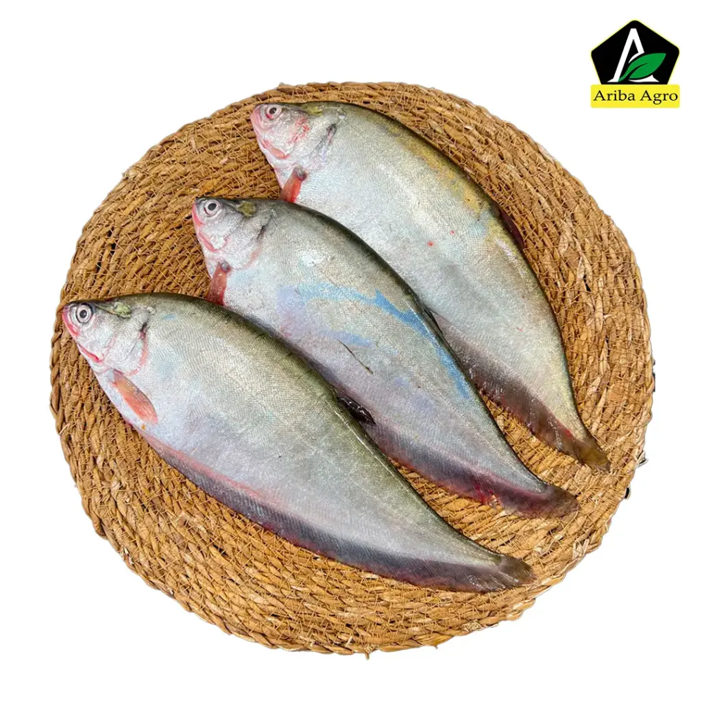 Deshi Foli Fish Whole (দেশী ফলি মাছ আস্ত)