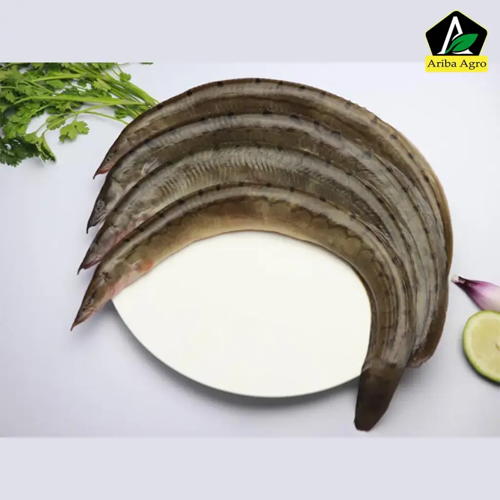 River Baim/Selosh-Baim (নদীর বড় বাইম মাছ)