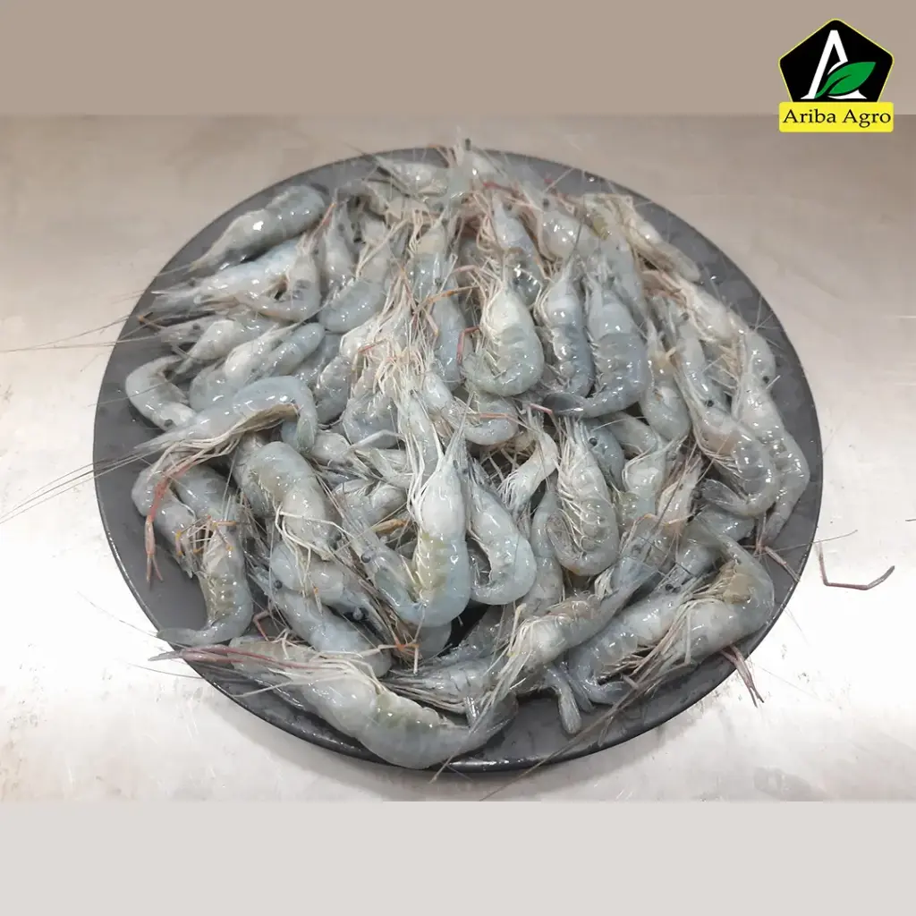 River Katali Prawn Whole (নদীর গোধা চিংড়ি/কাঠালি চিংড়ি)