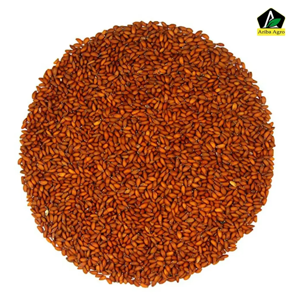 Halim Dana-হালিম দানা