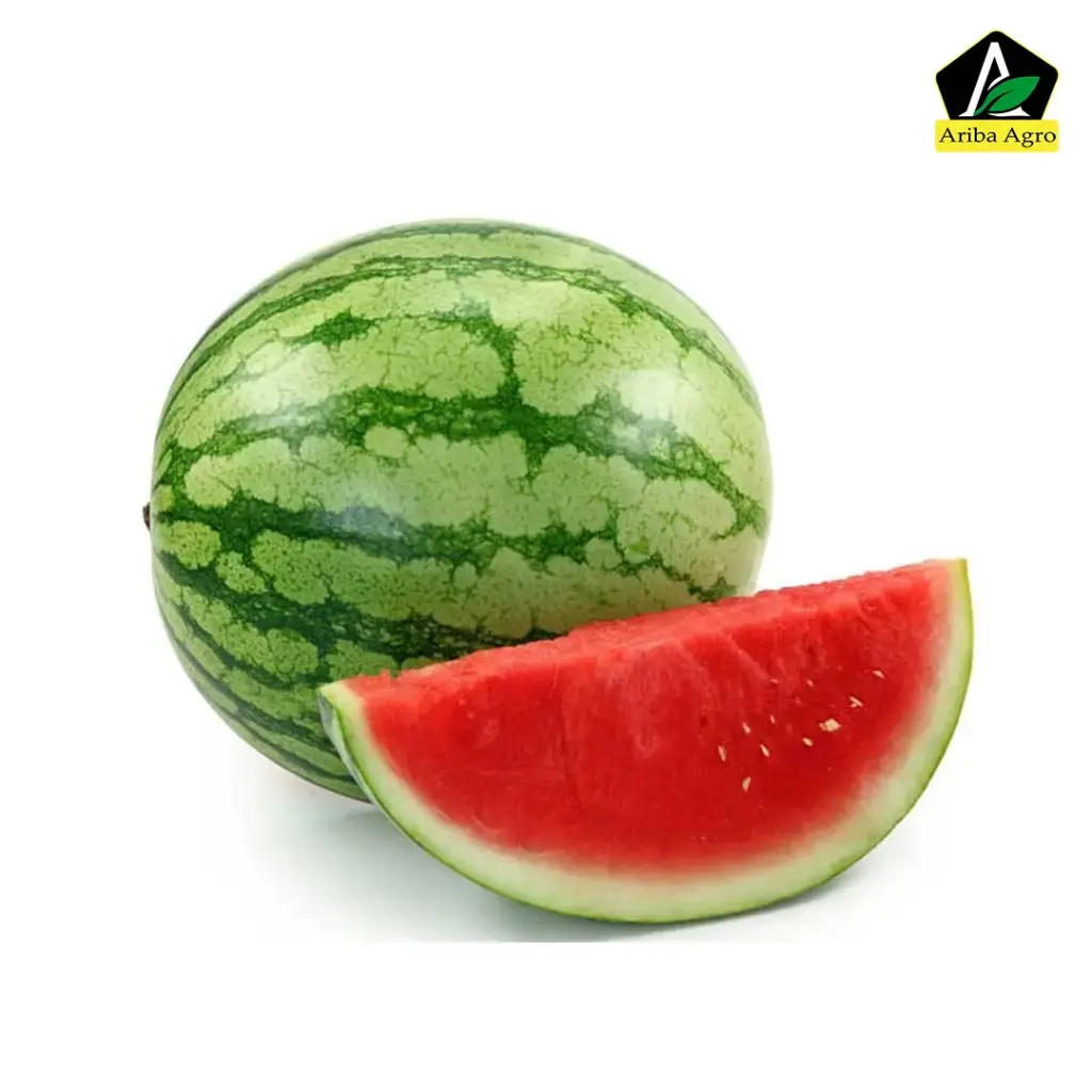 Hilly Watermelon (তরমুজ)/ কেজি