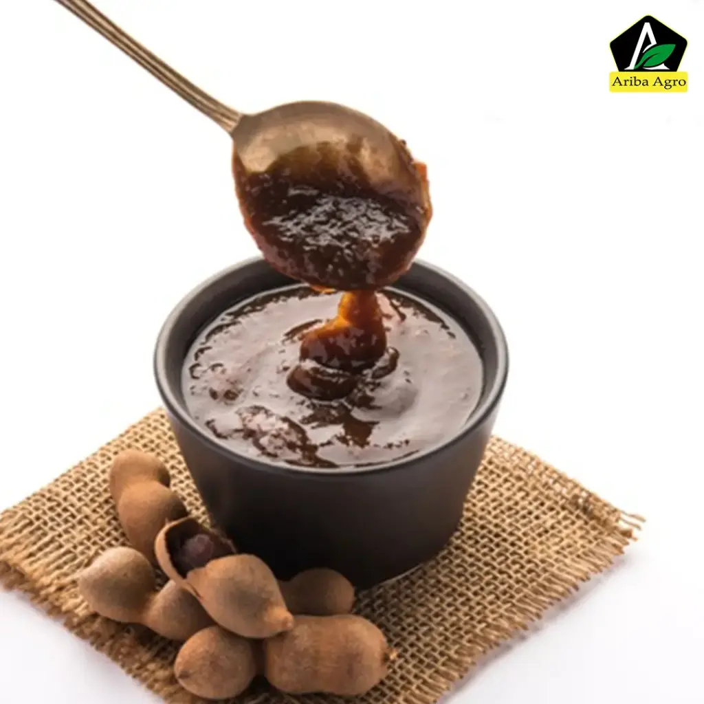 Tamarind Chutney (তেঁতুল চাটনি)