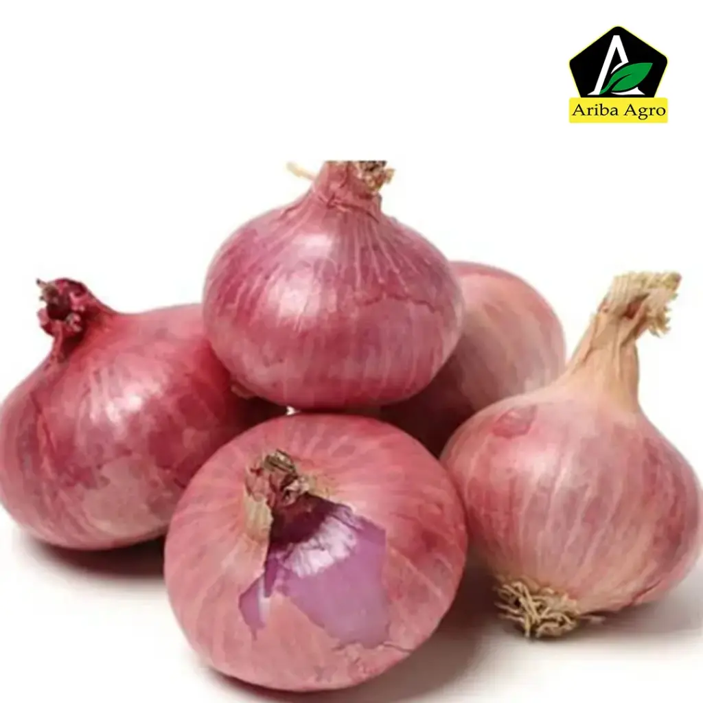 Red Onion – পেঁয়াজ