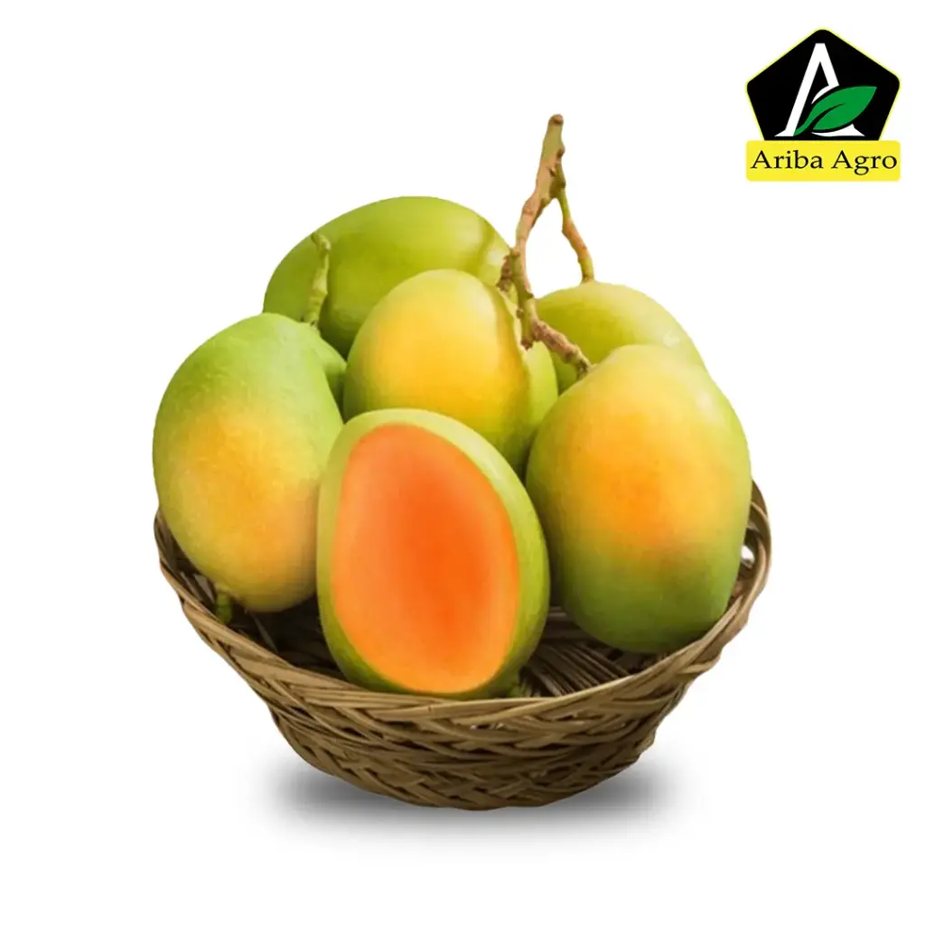 Himsagar Mango – (হিমসাগর আম)