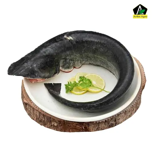 Biler Kali Boal Fish Whole (বিলের কালি বোয়াল মাছ আস্ত)
