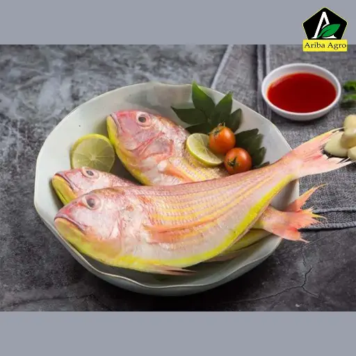 QUEEN POA FISH WHOLE (LARGE)