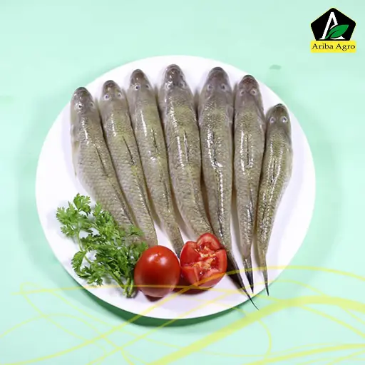 River Baila Fish Whole (নদীর বাইলা মাছ)