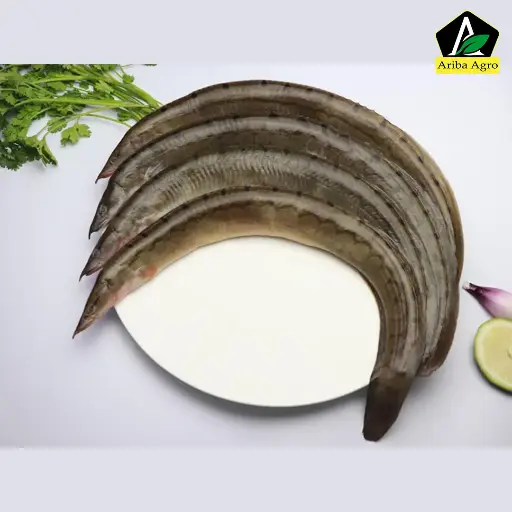 River Baim/Selosh-Baim (নদীর বড় বাইম মাছ)