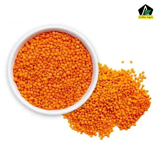 Desi Masoor Dal-দেশি মশুর ডাল