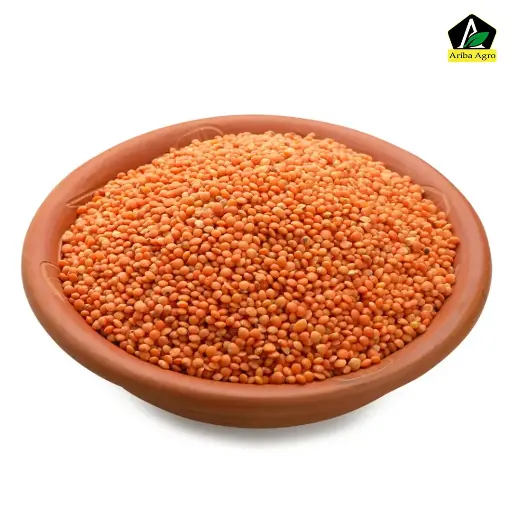 Kangaru Dal-ক্যাঙ্গারু ডাল