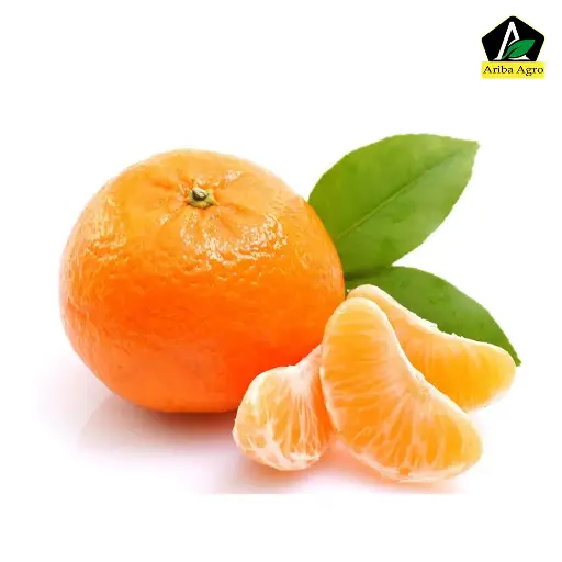 Fresh Oranges- Komla