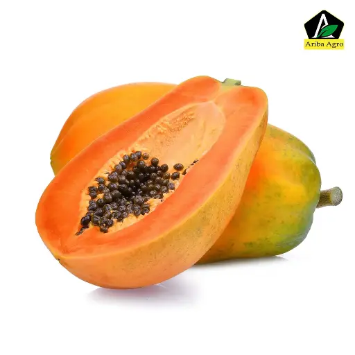 Hilly Red Lady Papaya (পেঁপে)