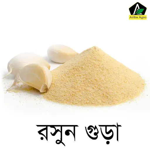 Garlic Powder-রসুন গুঁড়া