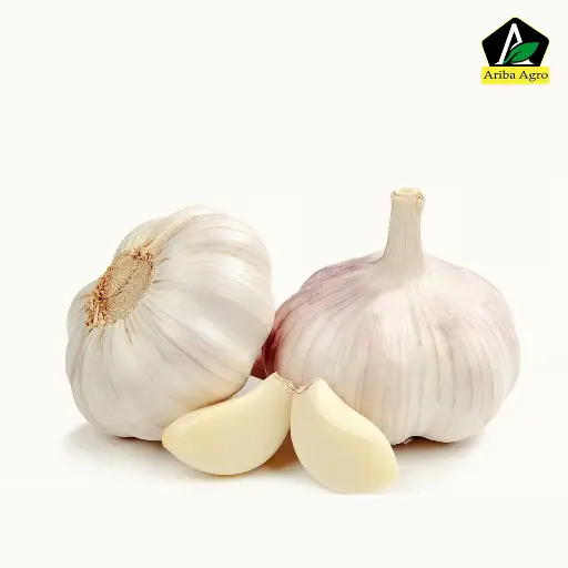 Garlic – রসুন
