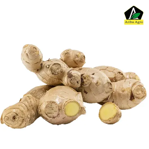 Ginger – আদা