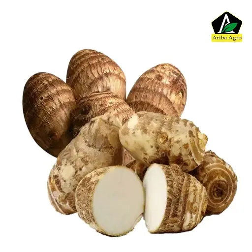 Taro Root – কচু